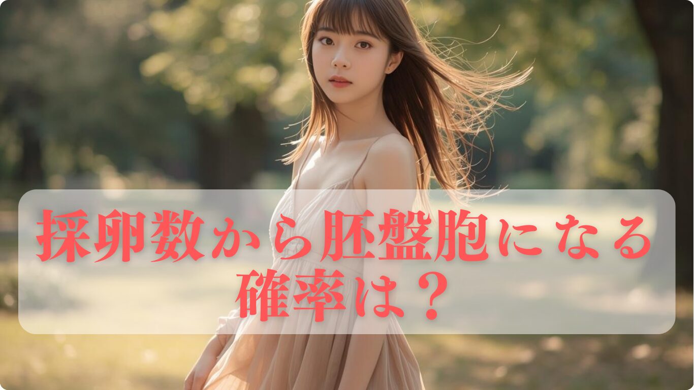 採卵数から胚盤胞になる確率は？年齢別（30代・40代）で何個残るか解説に解説します。