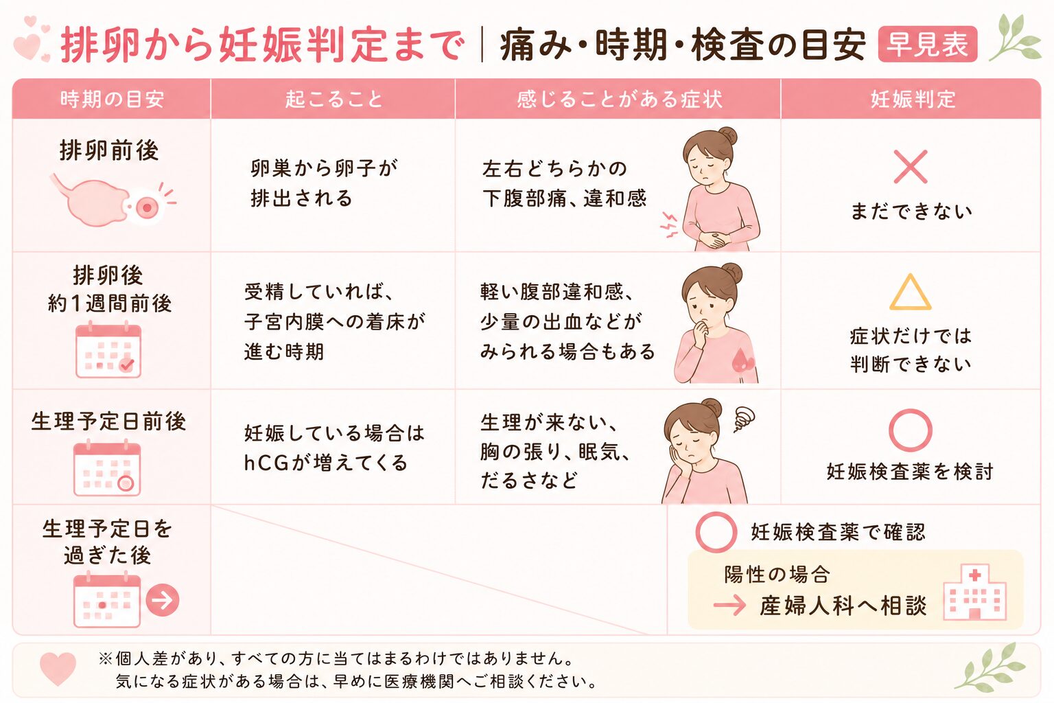 排卵から妊娠判定まで｜痛み・時期・検査の目安